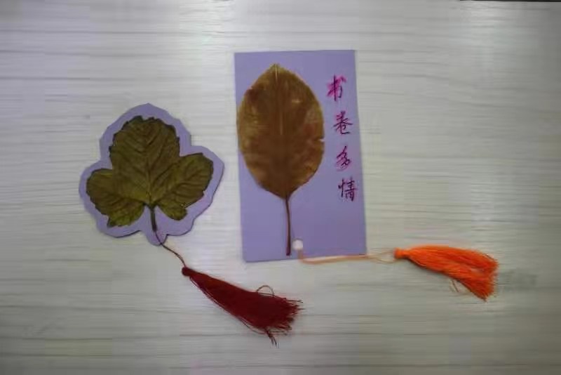 落叶书签制作活动