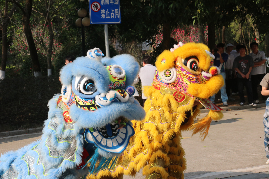 D1E0978E650C44DB5F1A30AF0D4D940A.JPG