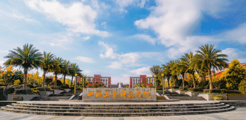 四川工业科技学院办事大厅原数字校园